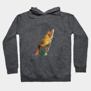 Female Northern Cardinal or Redbird Hoodie